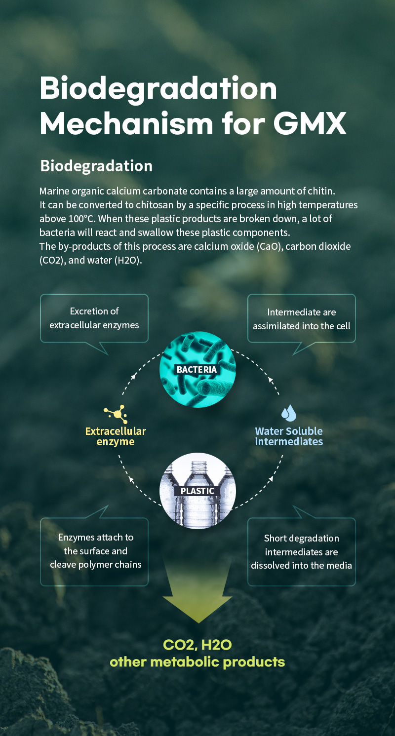 Biodegradation mechanism of GMX